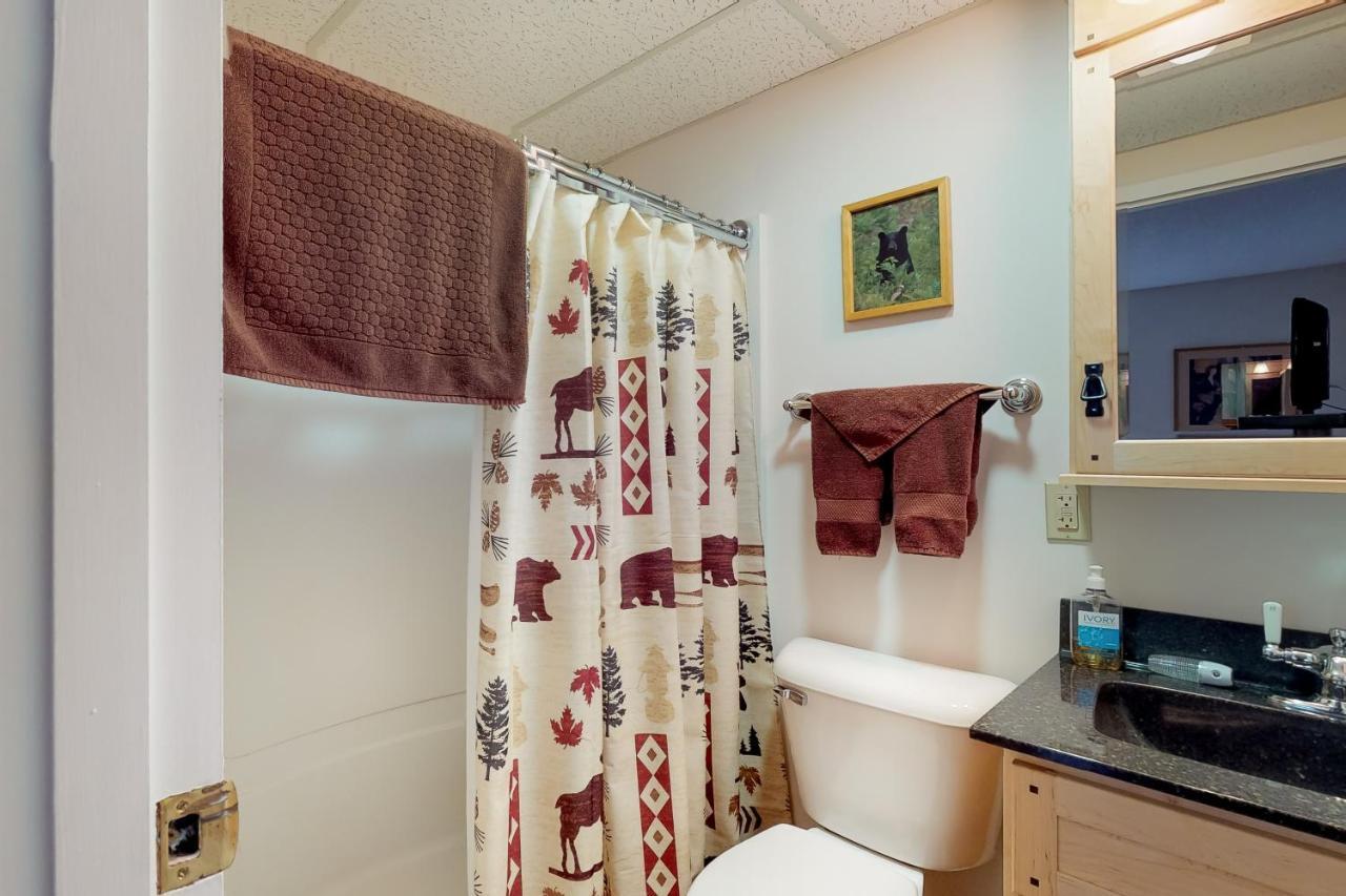 Squaw Village Condo Greenville Room photo